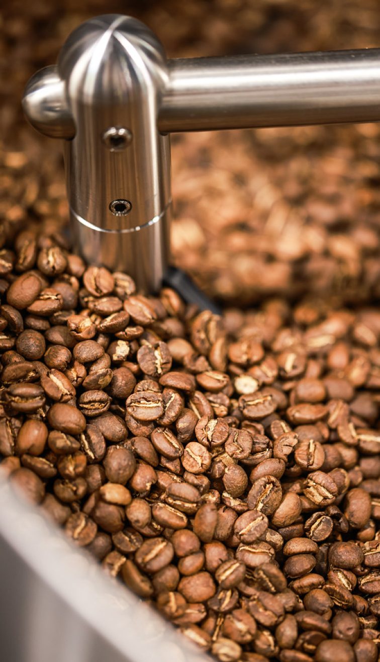 article pourquoi nous recommandons une torref...