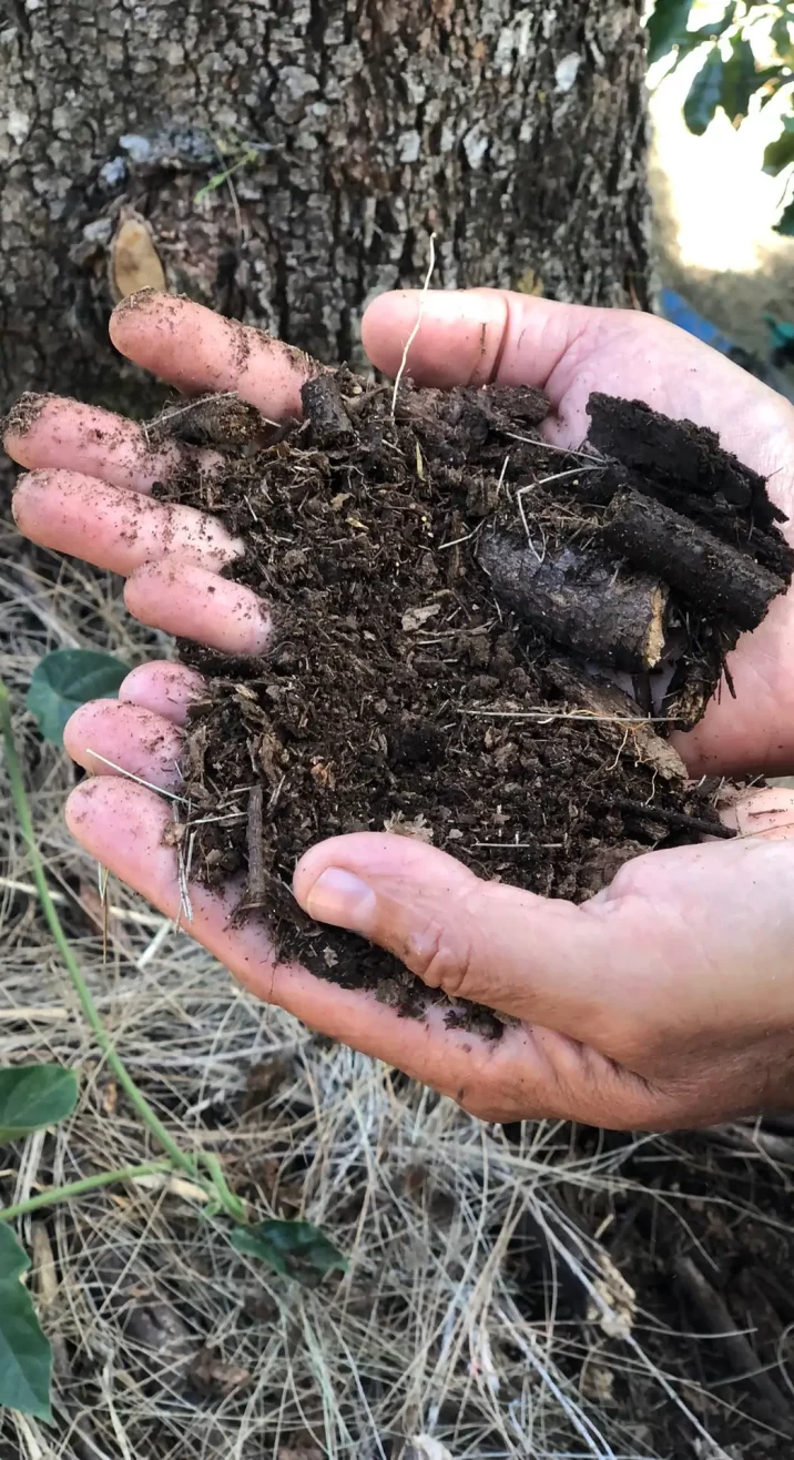 la biodynamie une philosophie vivante, du vin au café