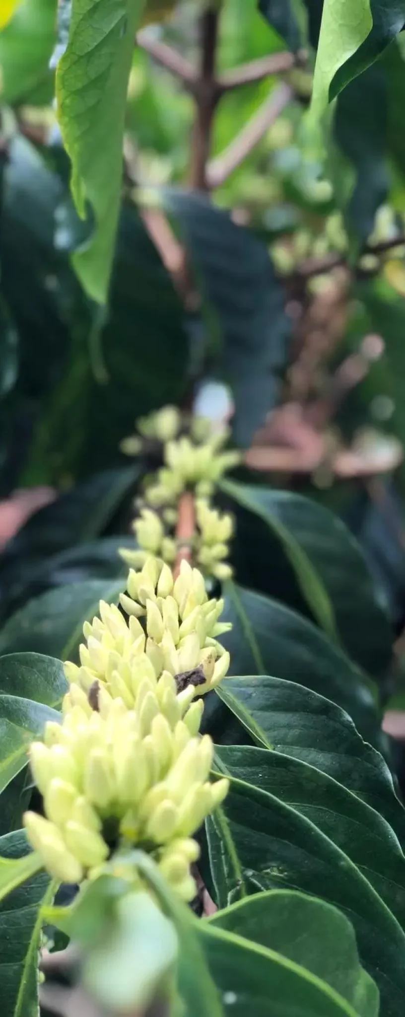 f7e8b256a38960f8d73a2bf223070666c8a32c80